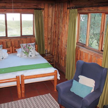 Greenfire Drakensberg Lodge Bonjaneni Kamer foto