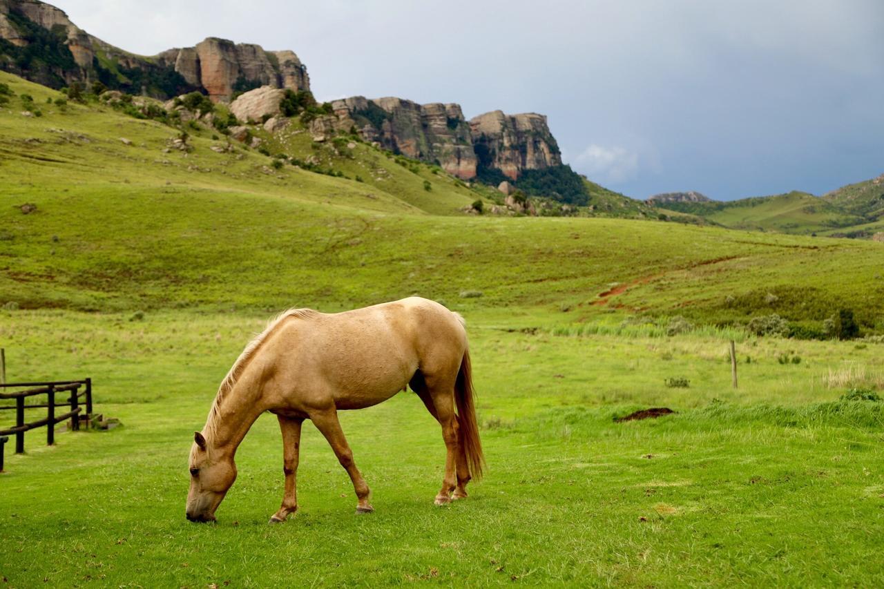 Greenfire Drakensberg Lodge Bonjaneni Buitenkant foto