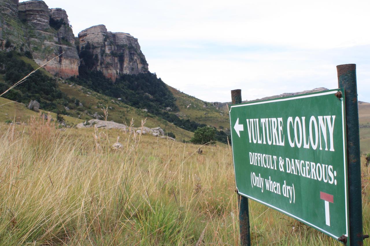 Greenfire Drakensberg Lodge Bonjaneni Buitenkant foto